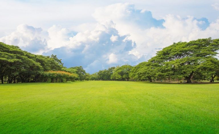 Is Land Investing Right for You? Types of Real Estate Investing Part 4